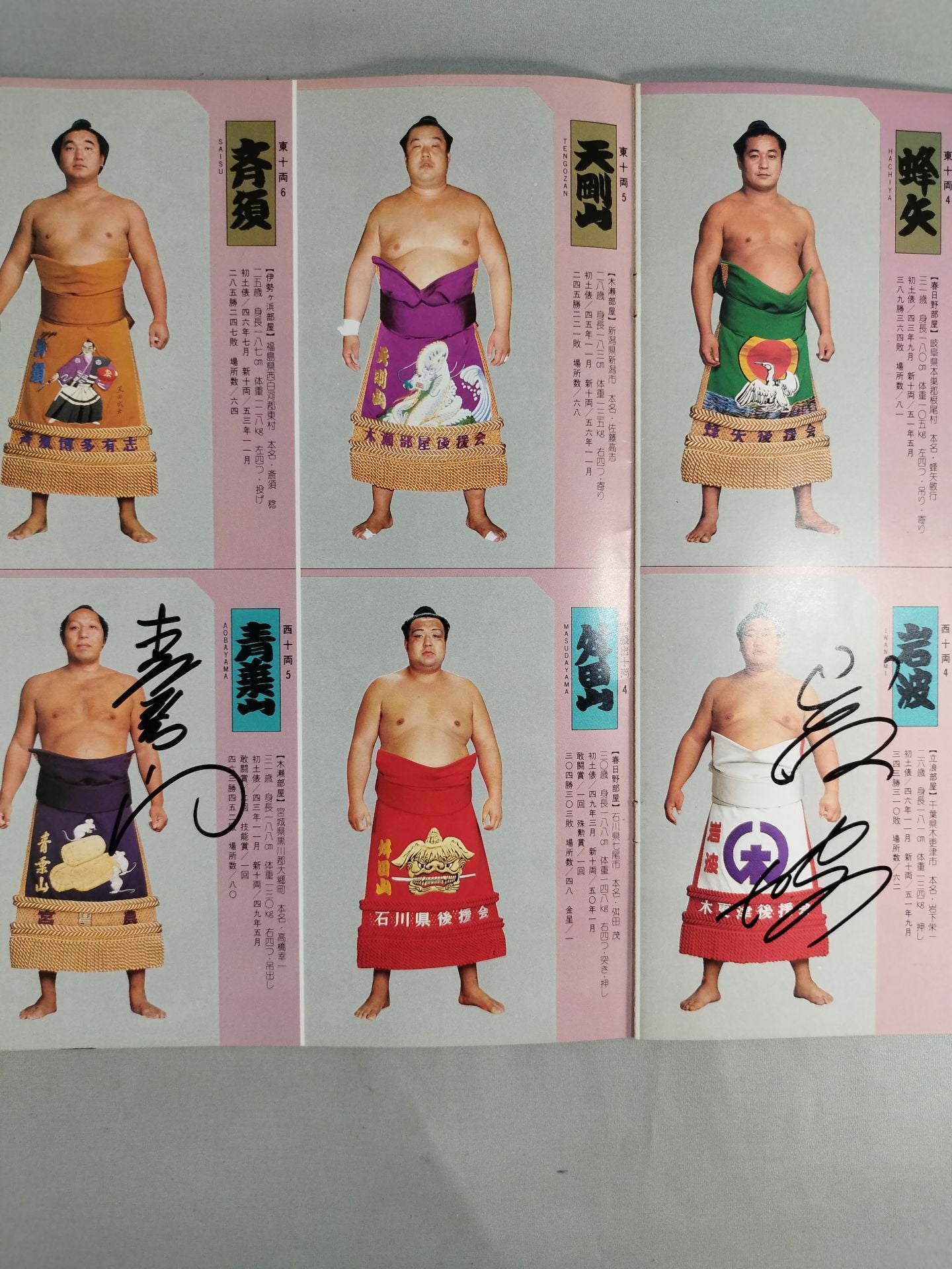 11名直筆サイン入り】大相撲一月場所(1982年) – 闘道館