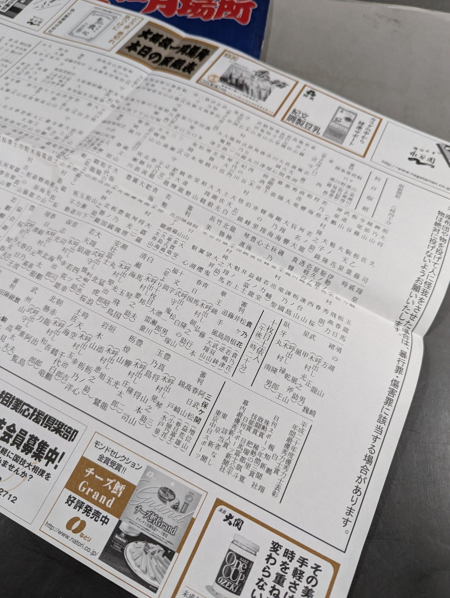 大相撲一月場所(2009年)
