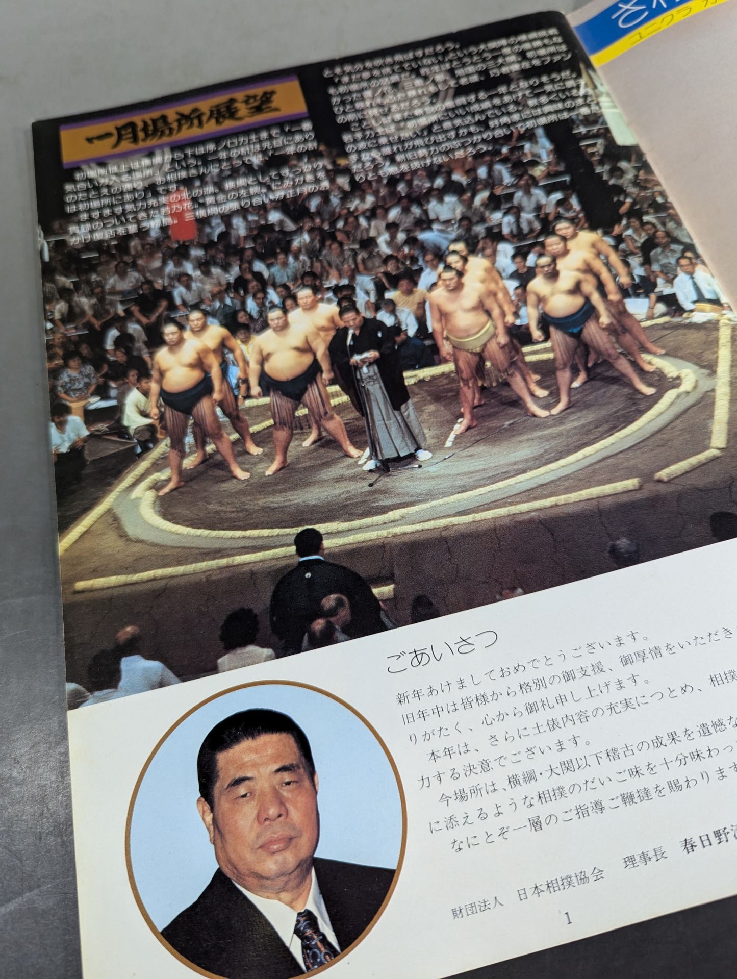 Sumo Wrestling (1979)
