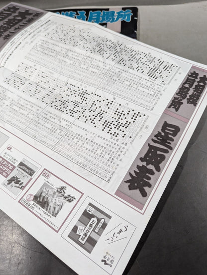 大相撲五月場所(2009年)