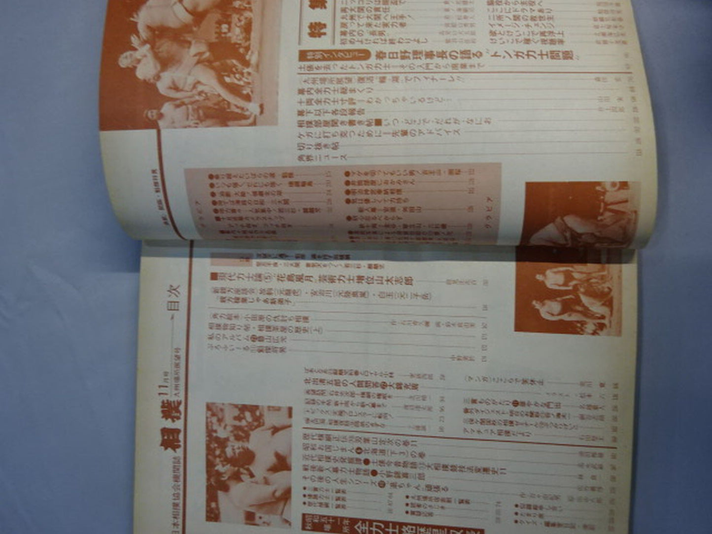 相撲 1976年11月号