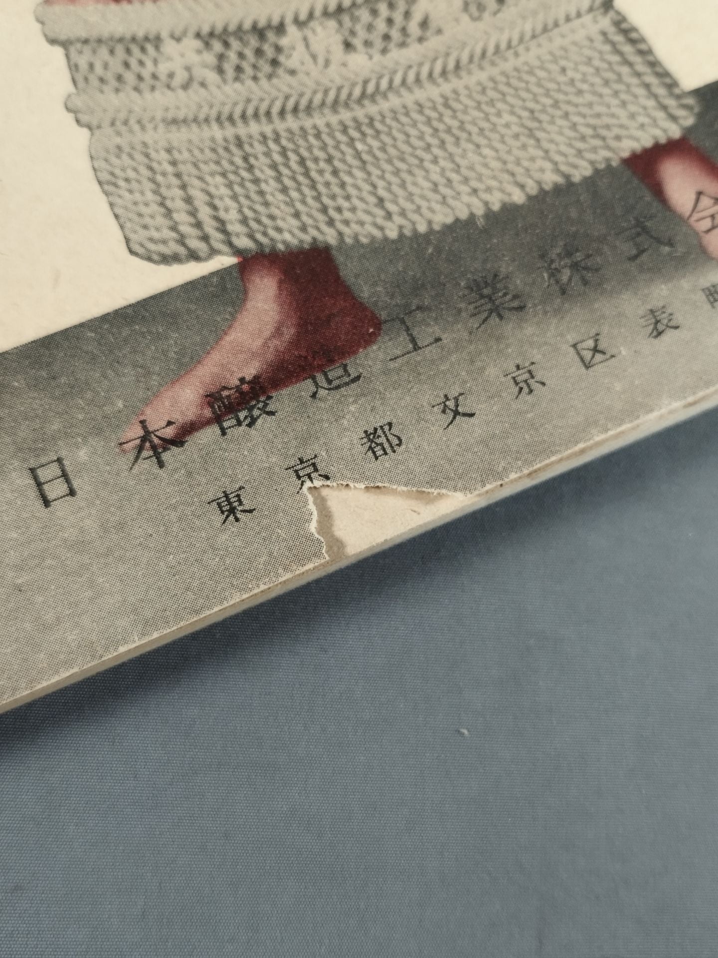 相撲 1953年11月号