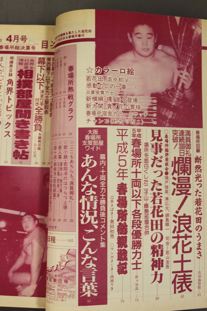 Sumo 1993-04