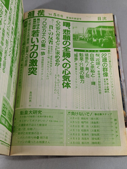 Sumo 1994.05
