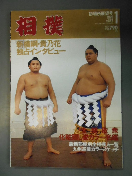 Sumo January 1995