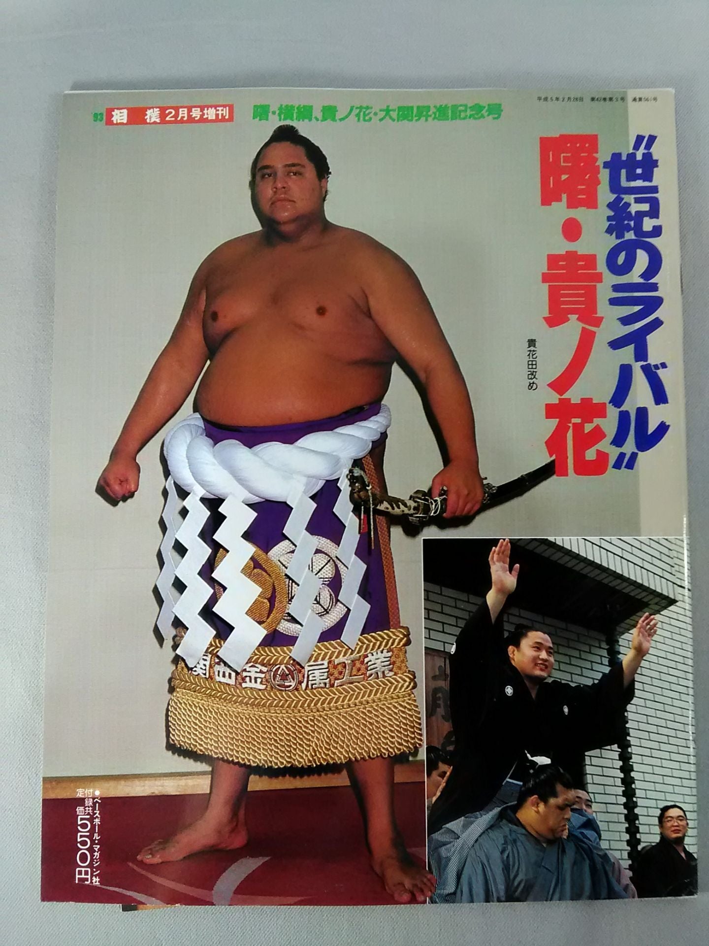 Sumo February 1993 issue supplement