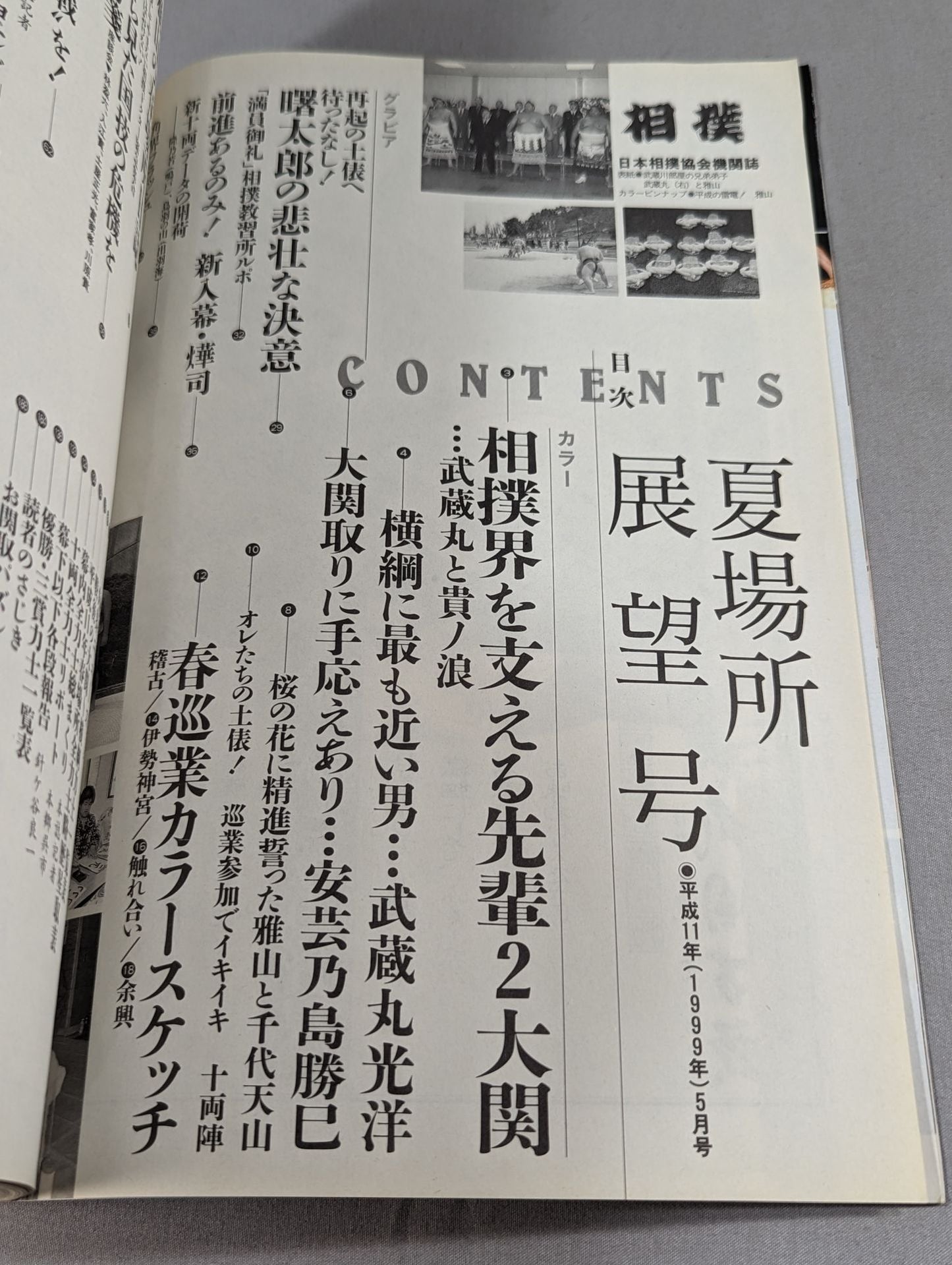 Sumo 1999.05