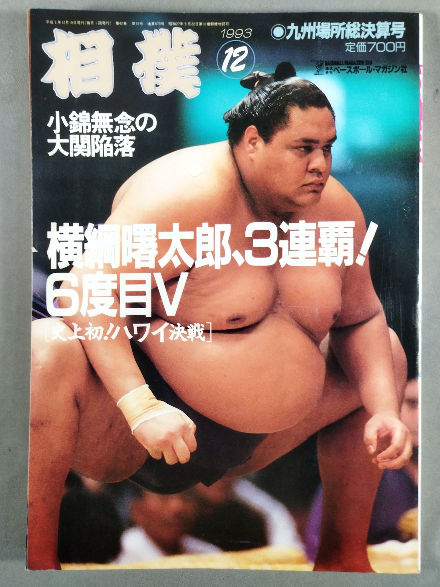 Sumo December 1993