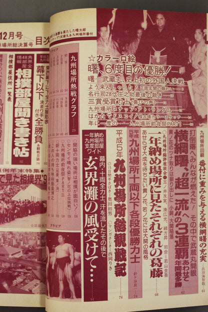 Sumo December 1993