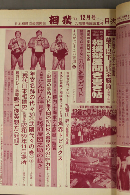 Sumo December 1993