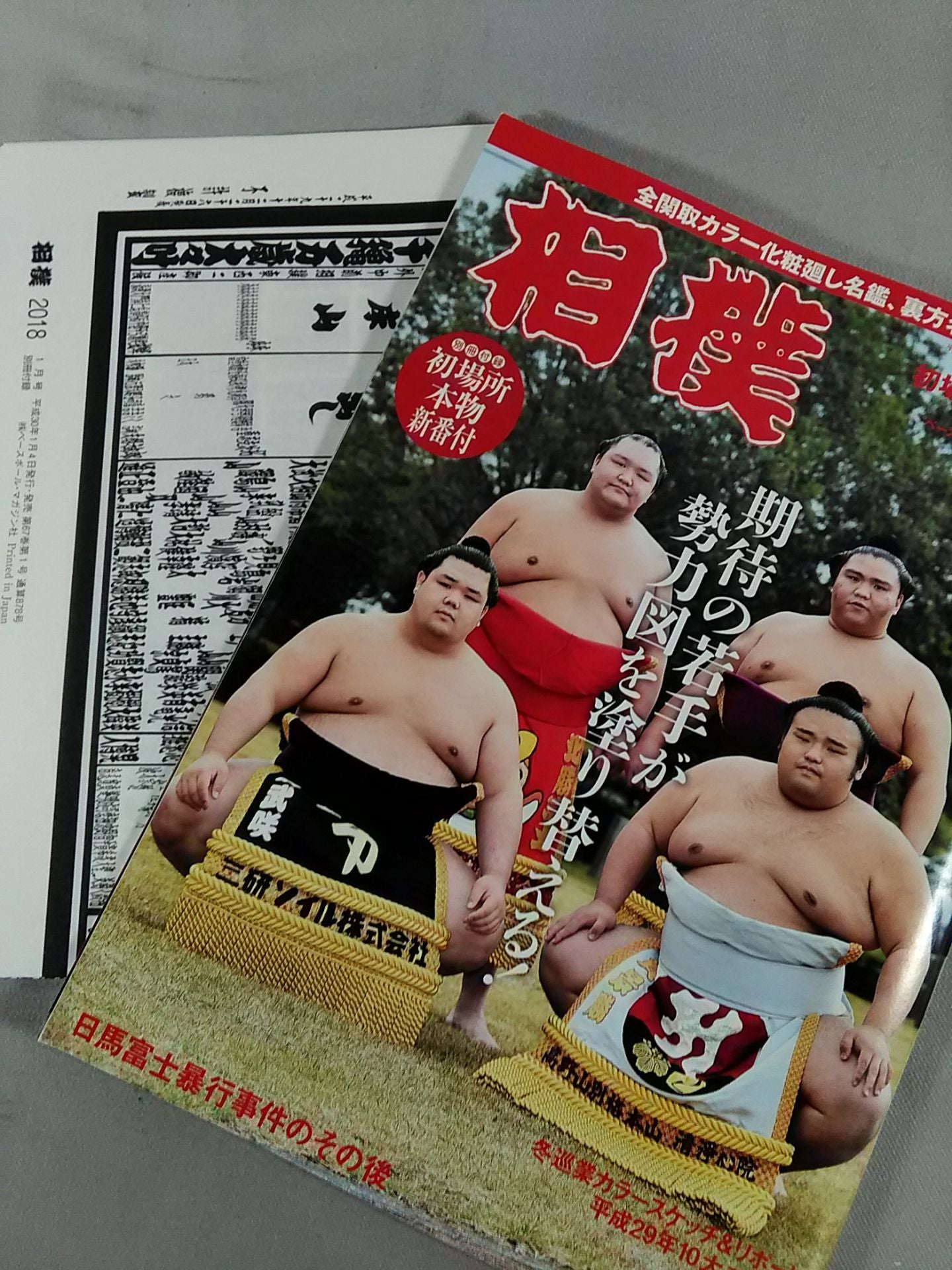 Sumo January 2018 Issue