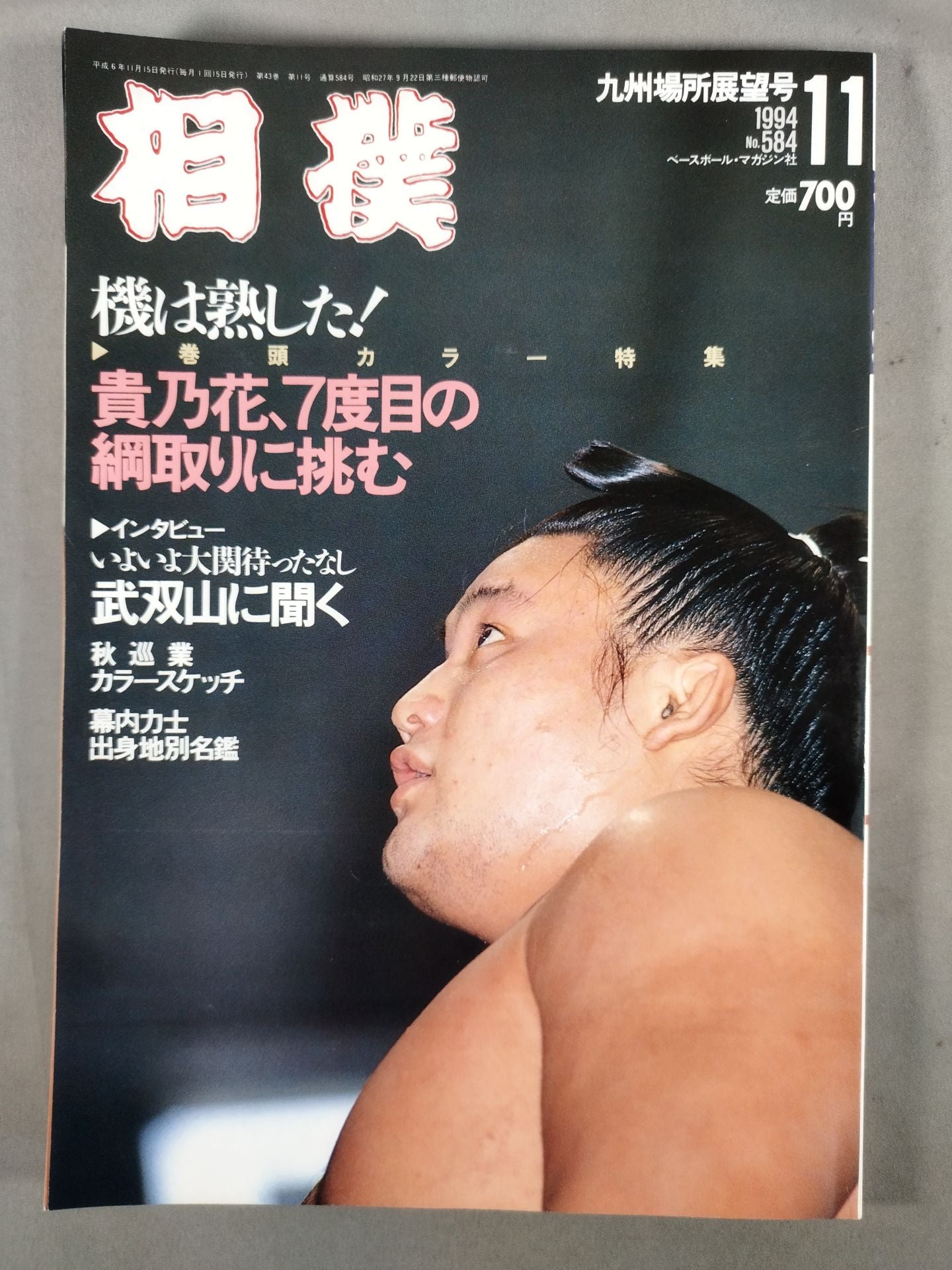 Sumo November 1994