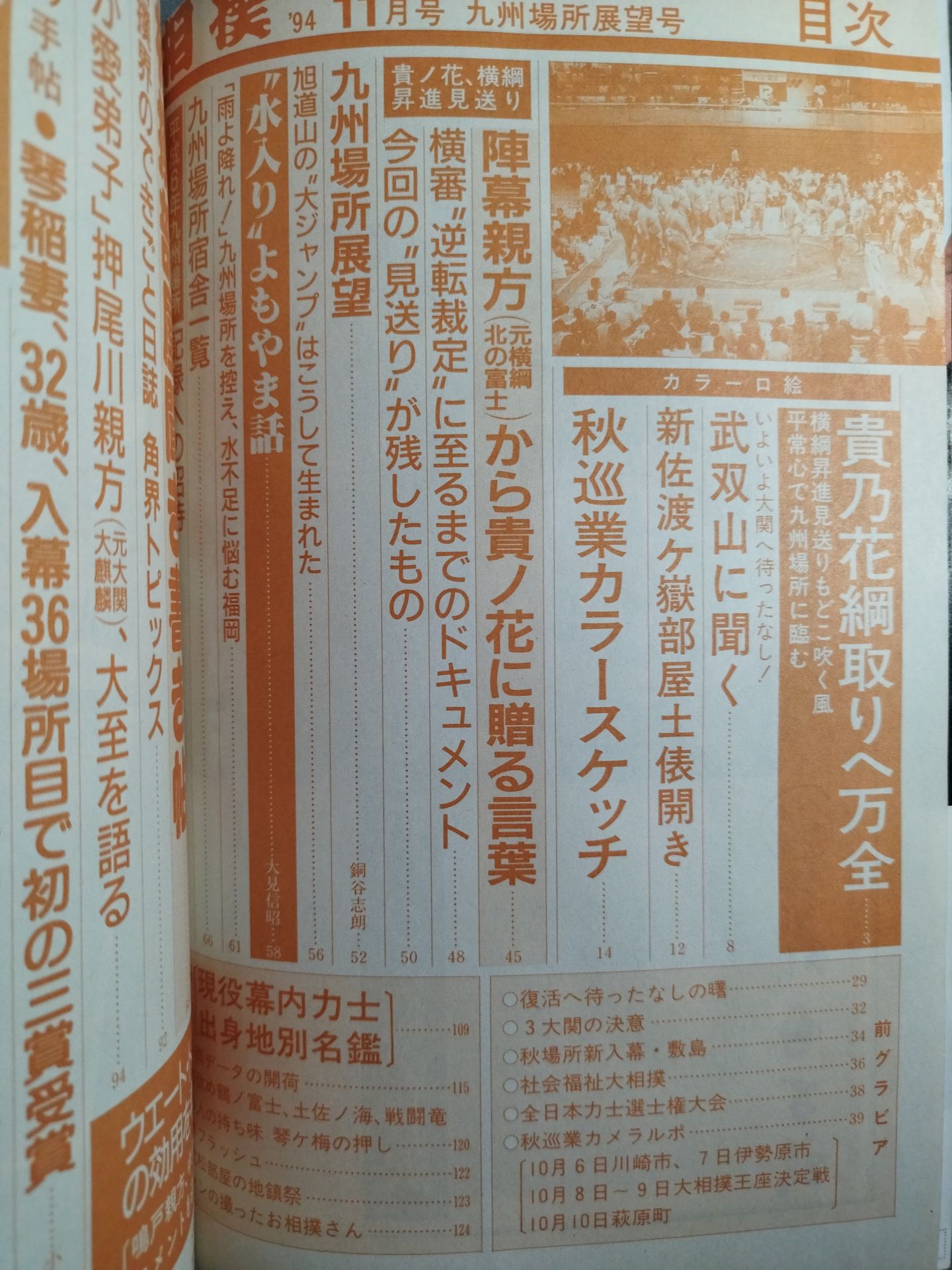 Sumo November 1994