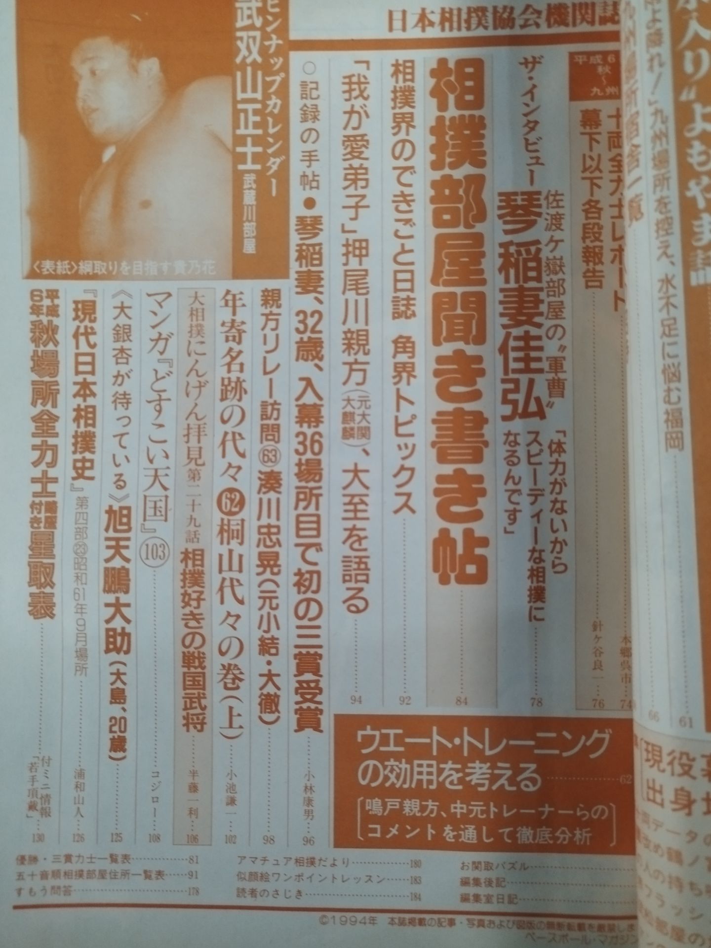 Sumo November 1994