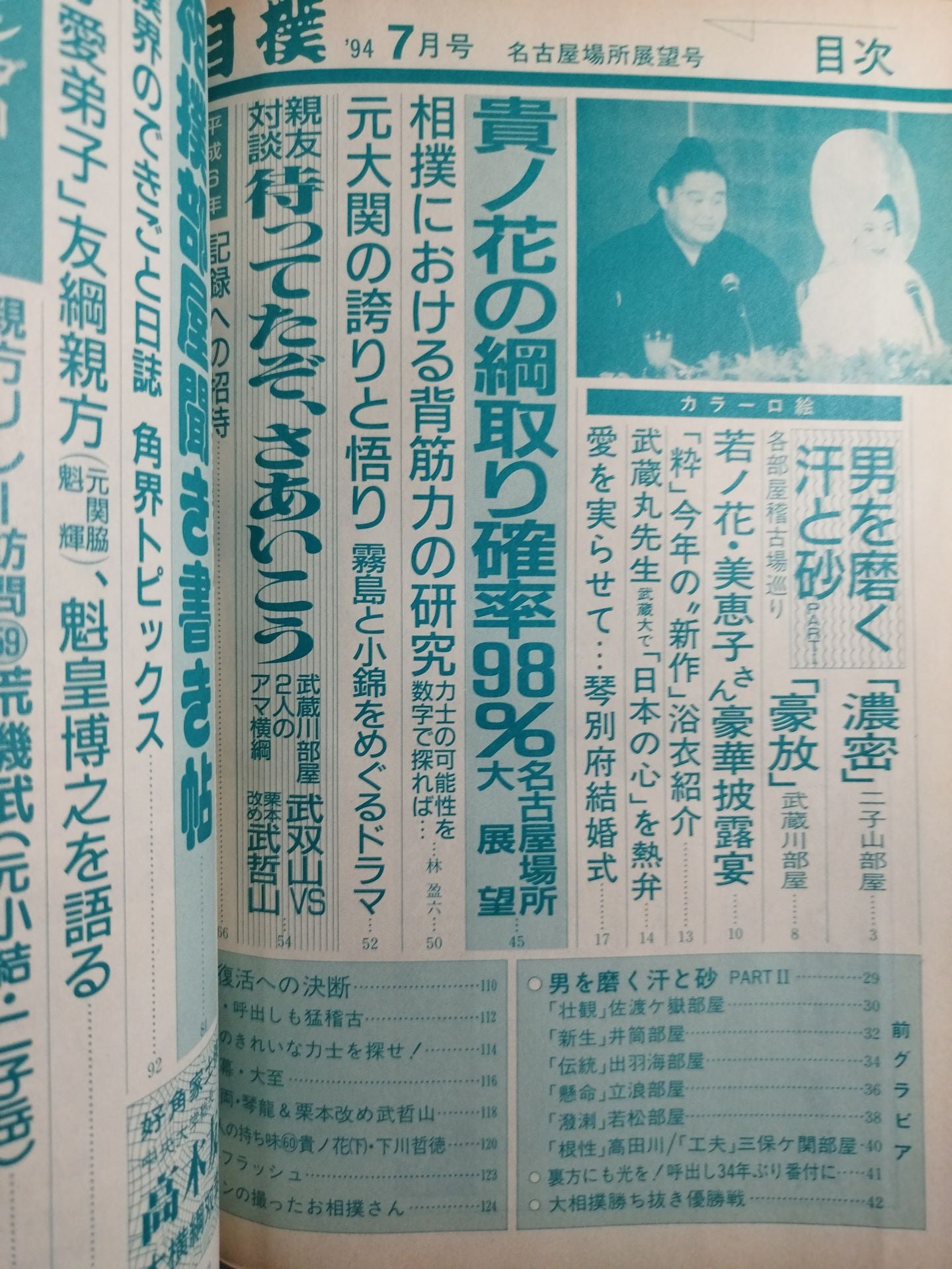 Sumo 1994.07