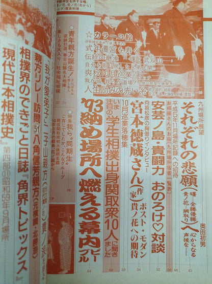 Sumo November 1993