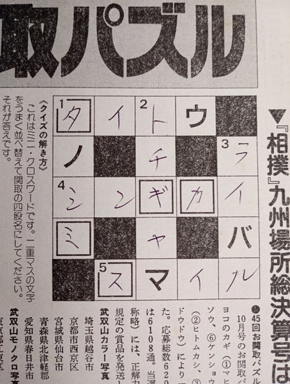 Sumo November 1993