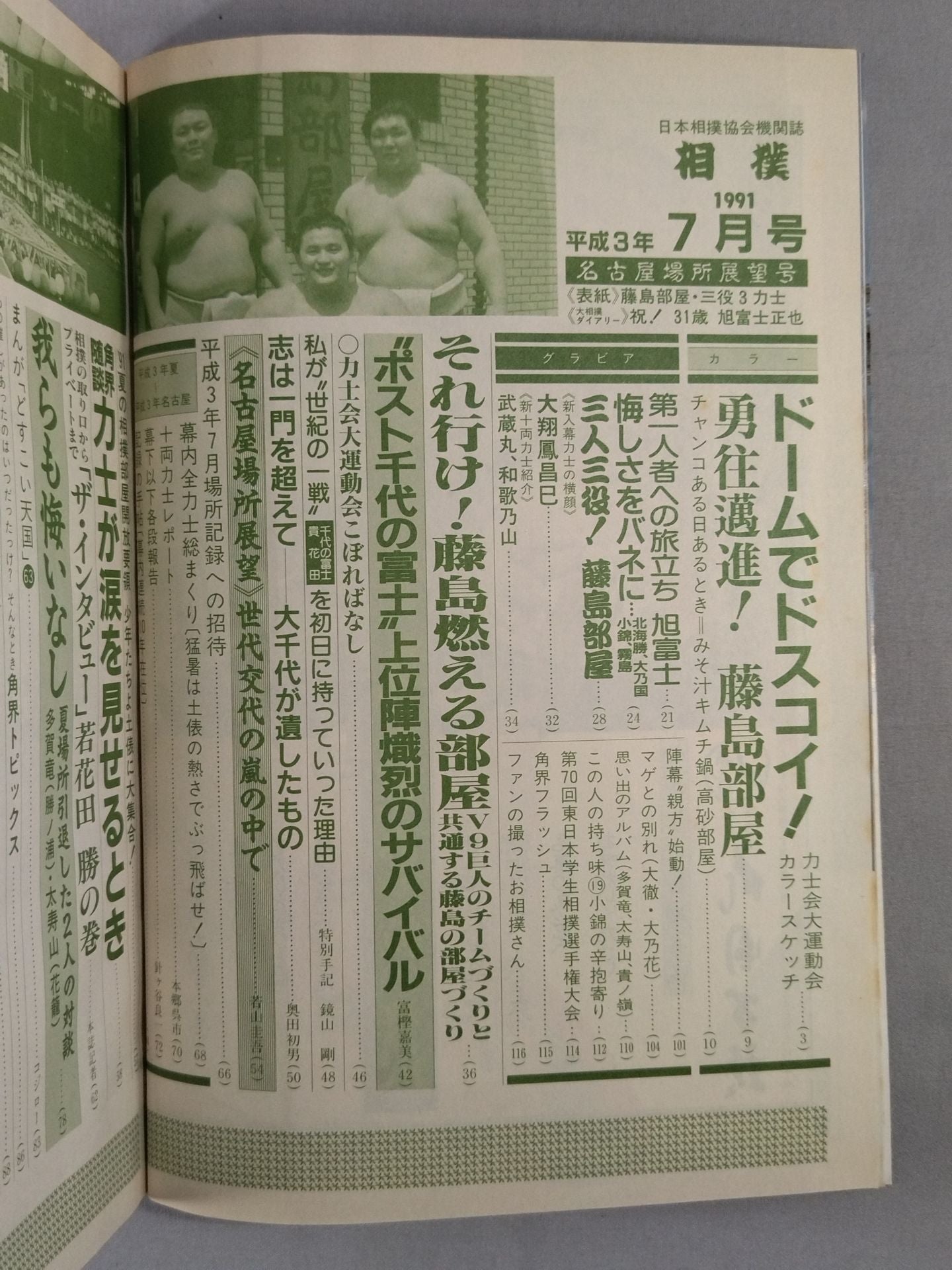 Sumo July 1991