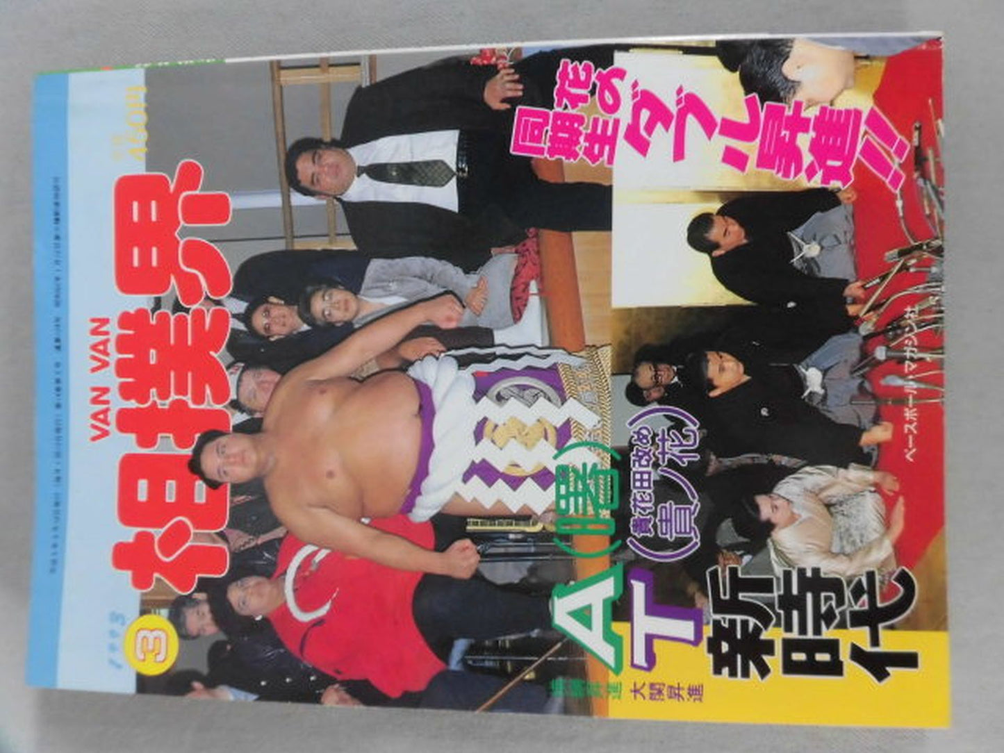 VANVANsumo World 1993.03