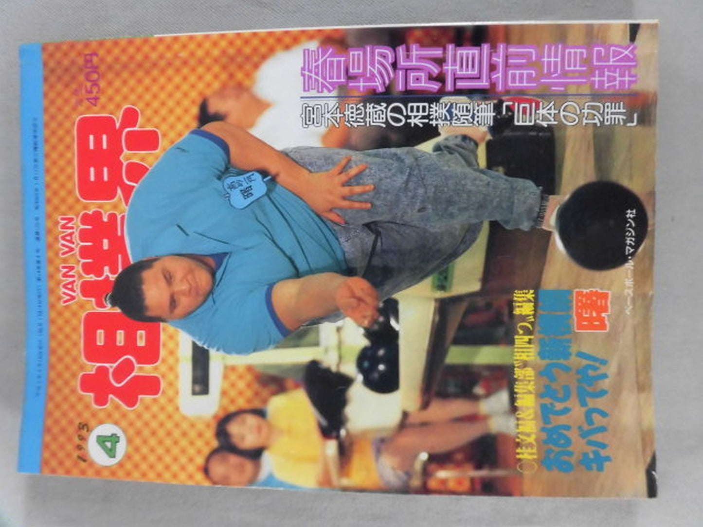 VANVANsumo World 1993.04
