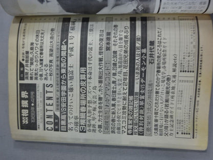 VANVAN相撲界 1989年4月号