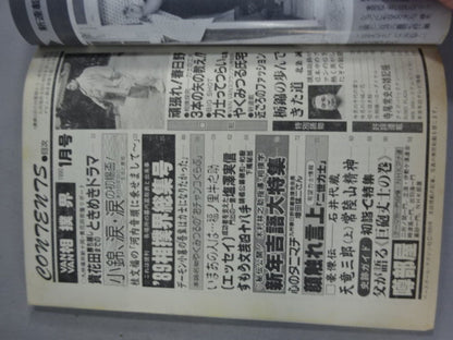 VANVAN相撲界 1990年1月号