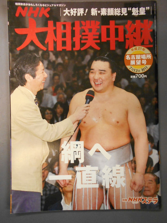 Sumo Relay Heisei 21 Nagoya Location Outlook