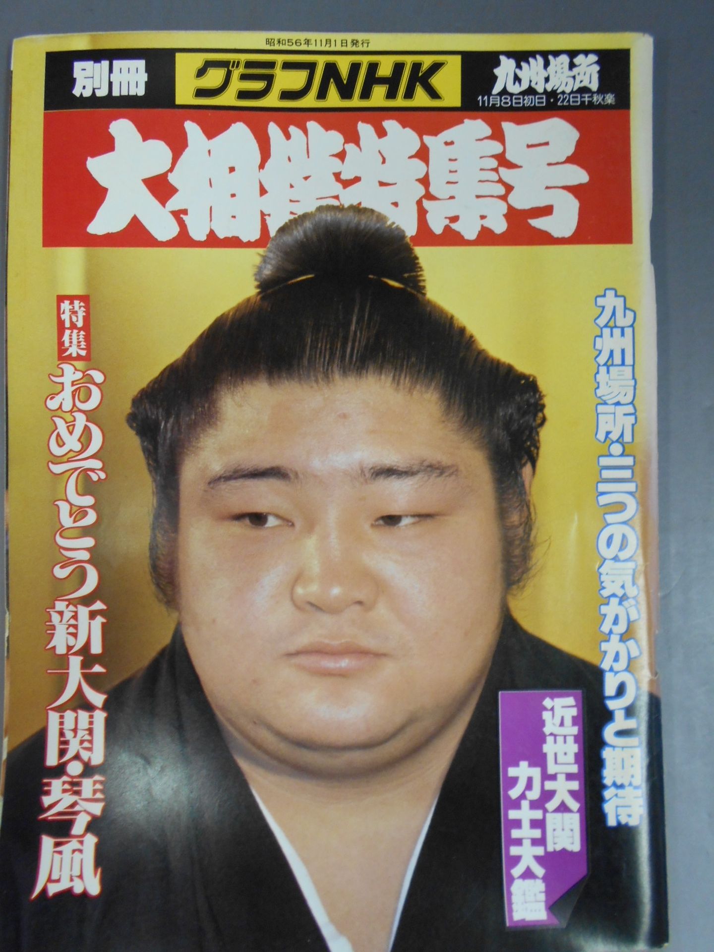Separate graph NHK Grand Sumo Special Issue, Kyushu Location