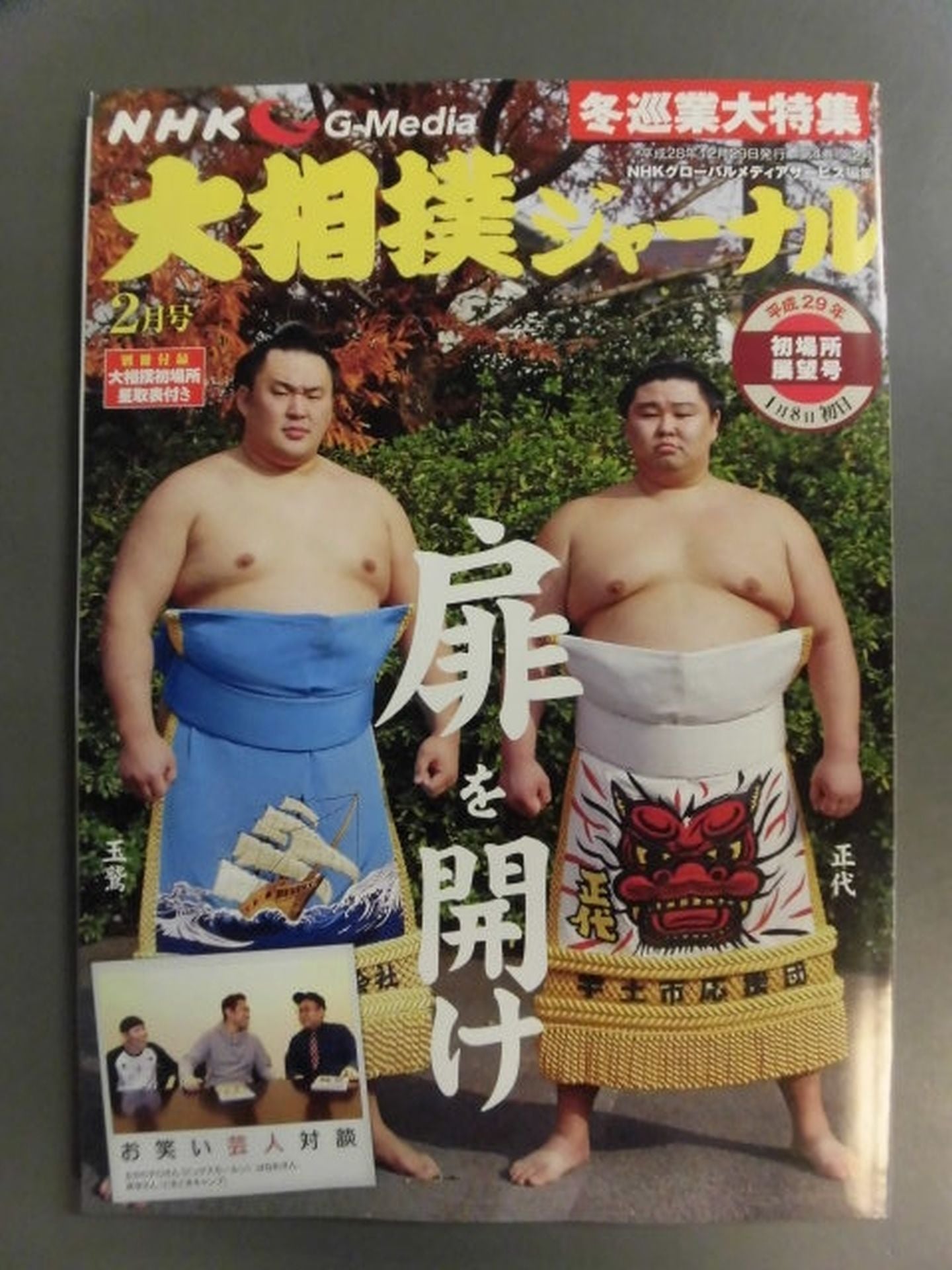 大相撲ジャーナル 平成29年初場所展望号