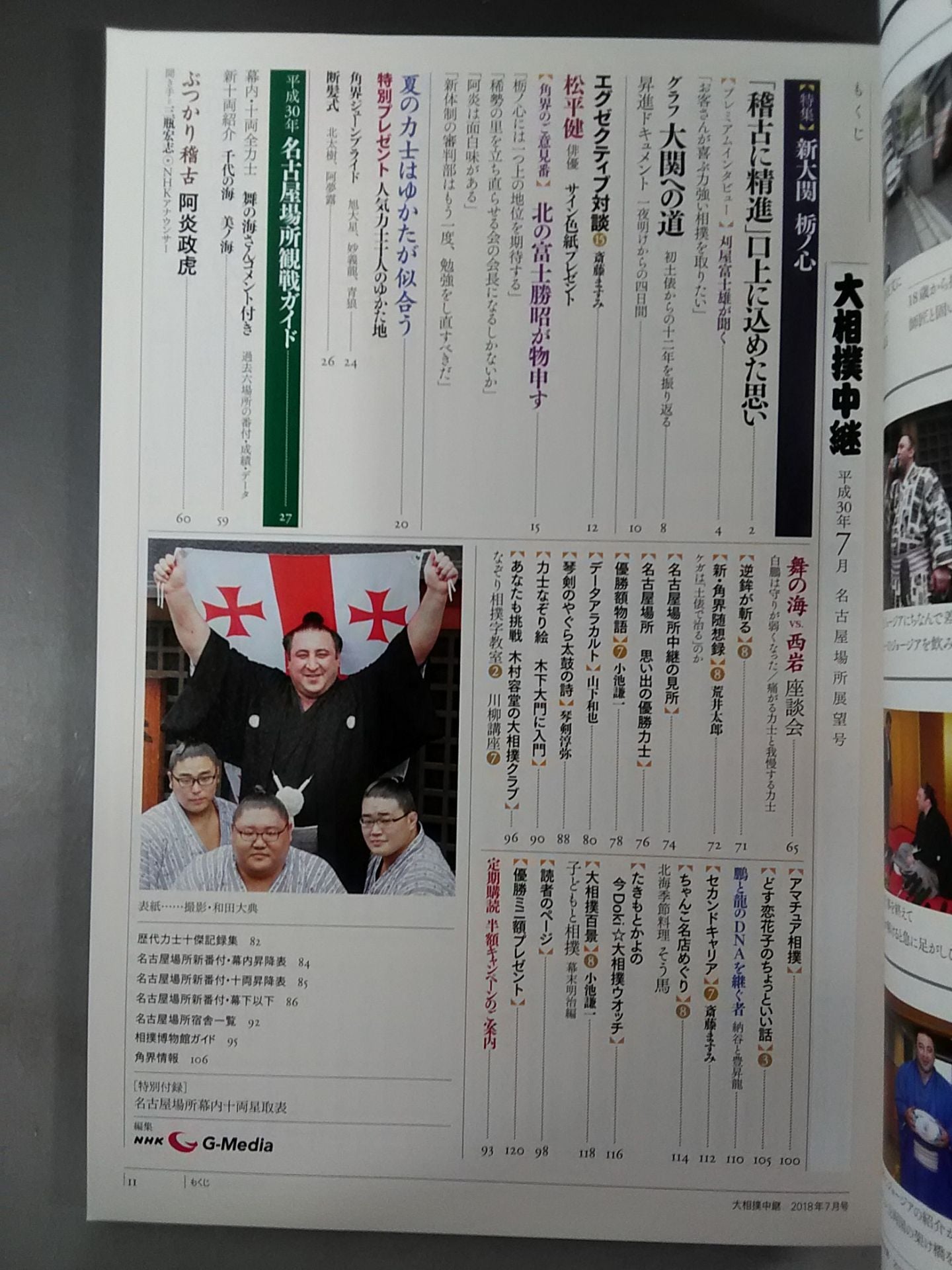 大相撲中継 平成30年名古屋場所展望号
