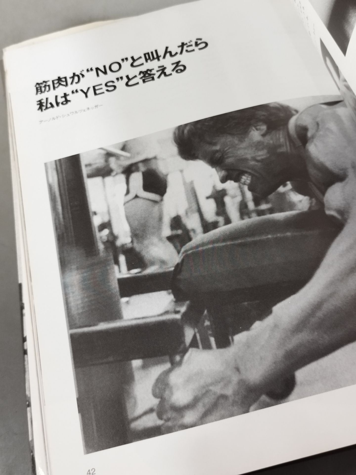 アーノルド・シュワルツェネッガー 筋肉の神話 – 闘道館