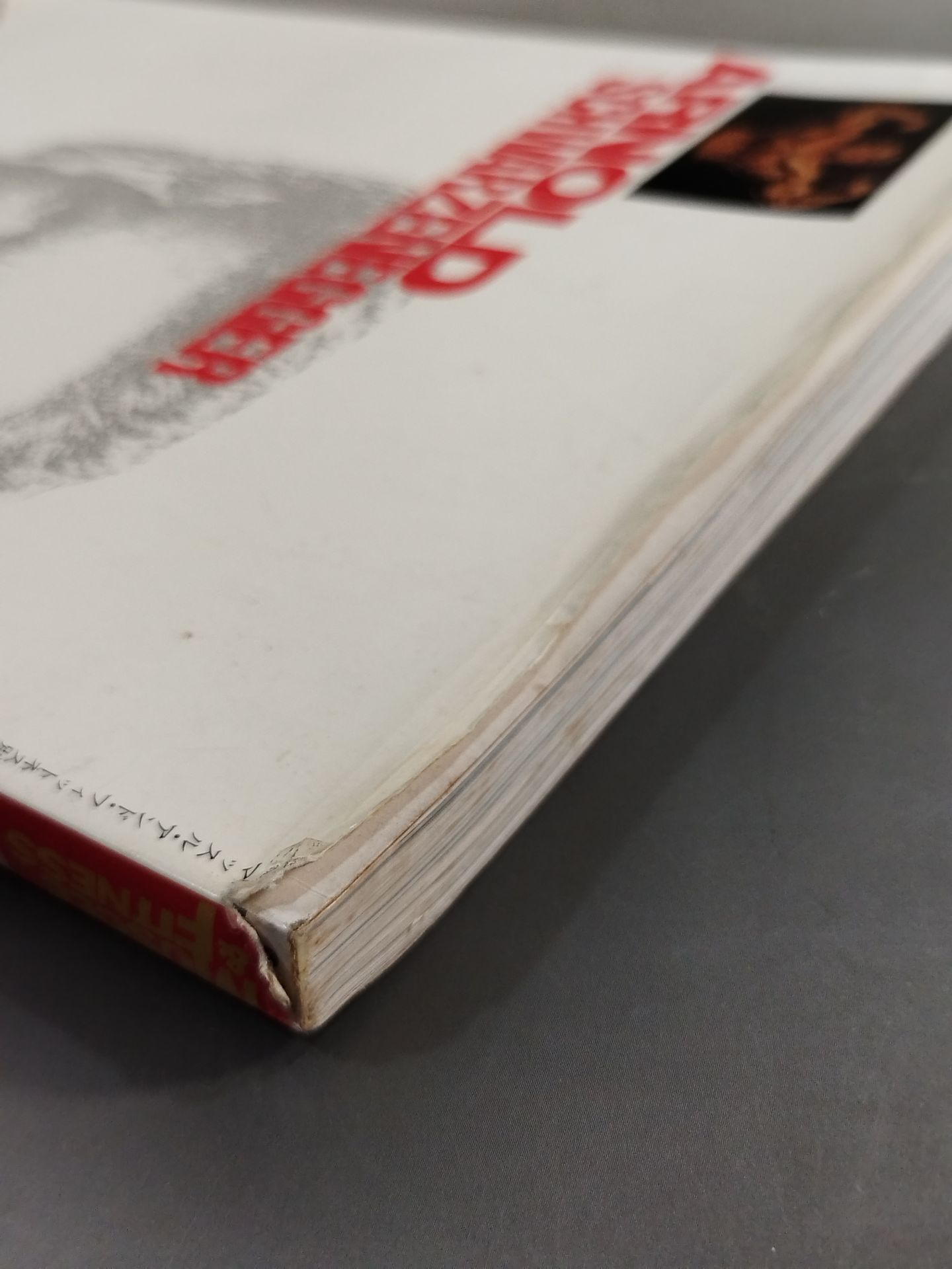 アーノルド・シュワルツェネッガー 筋肉の神話 – 闘道館