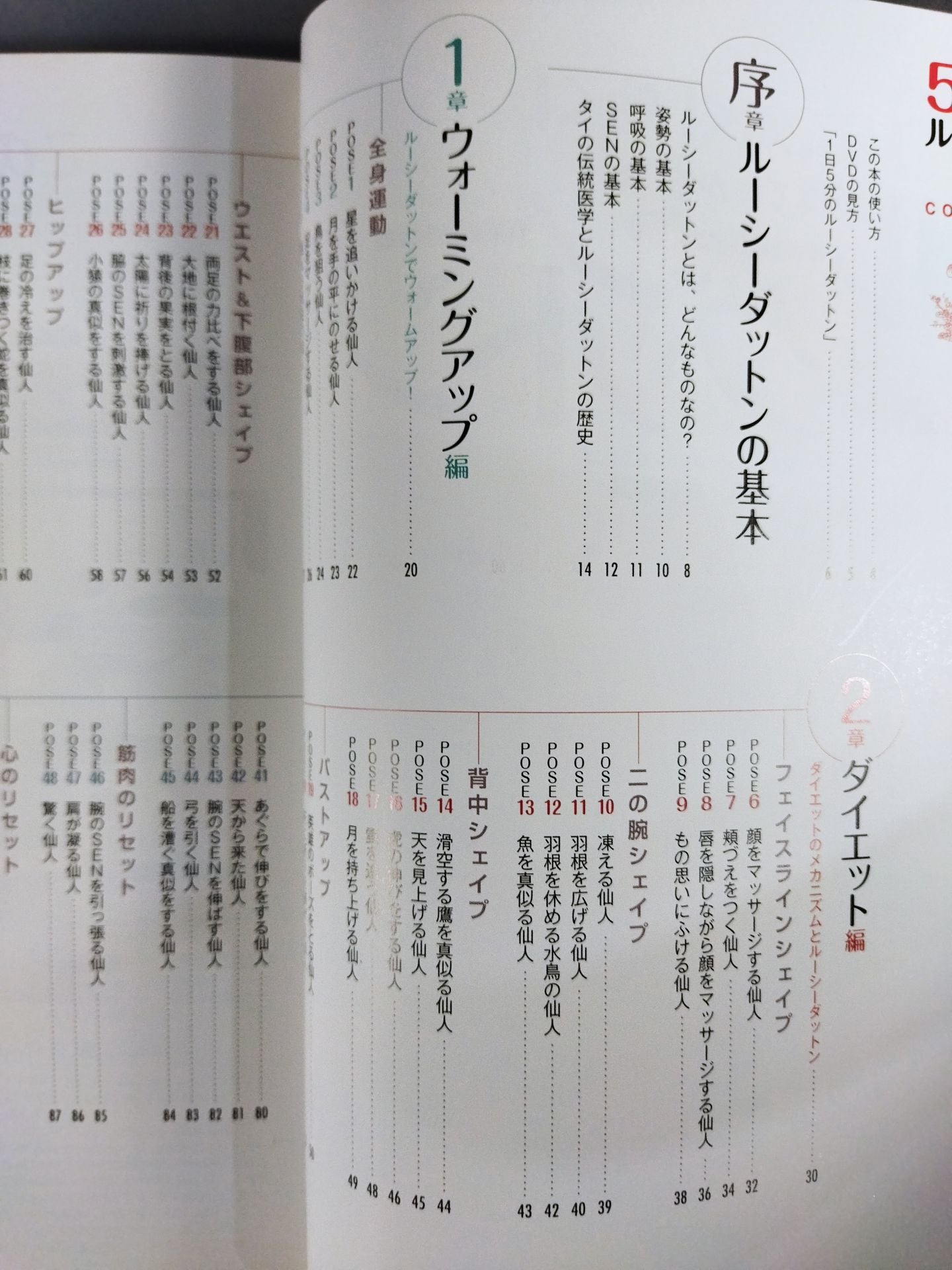 DVDでわかる 5分で効く!効く! ルーシーダットン