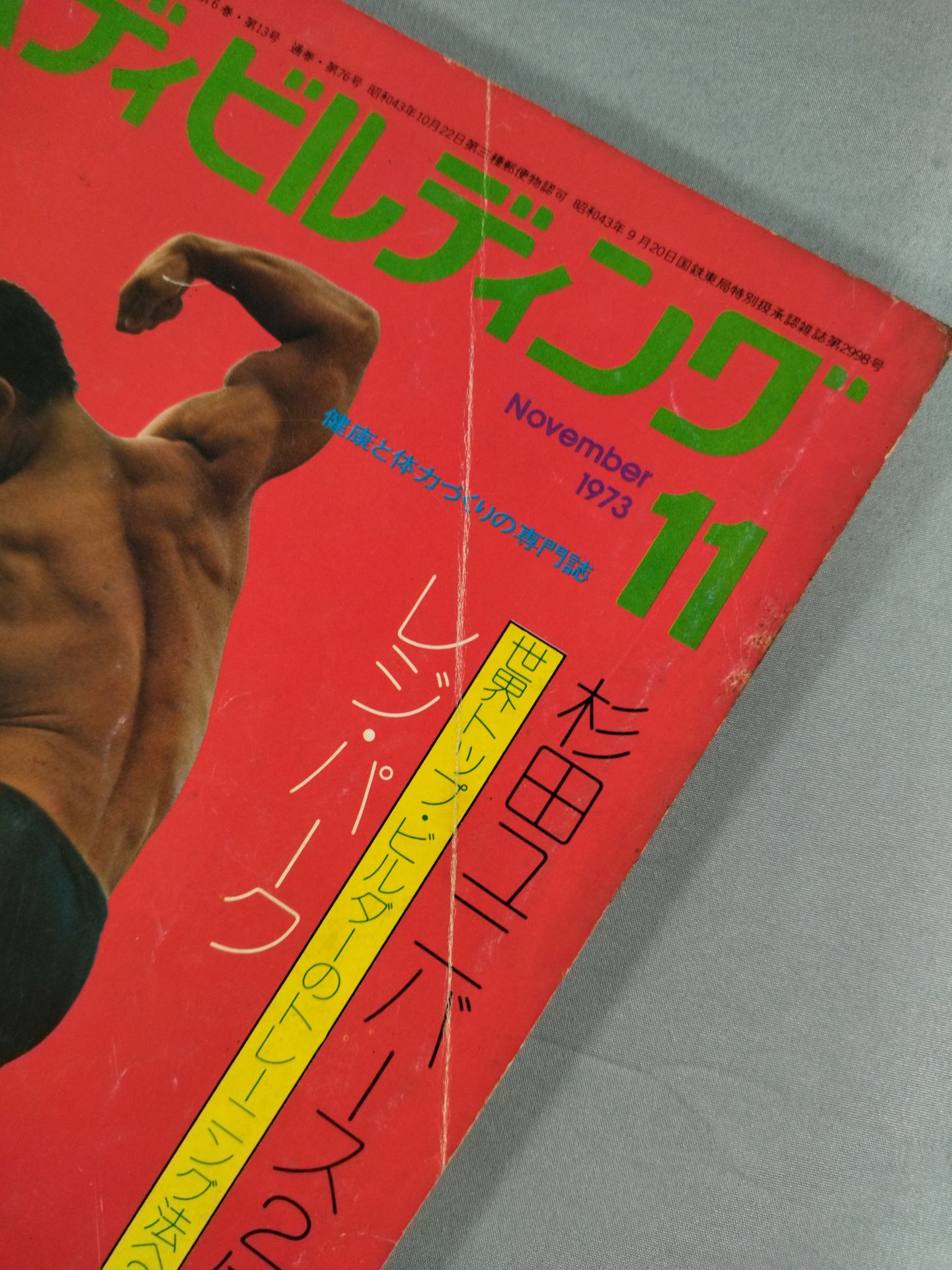 Bodybuilding Monthly, November 1973