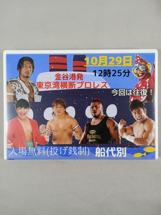 Pro Wrestling  across Tokyo Bay from Kanaya Port