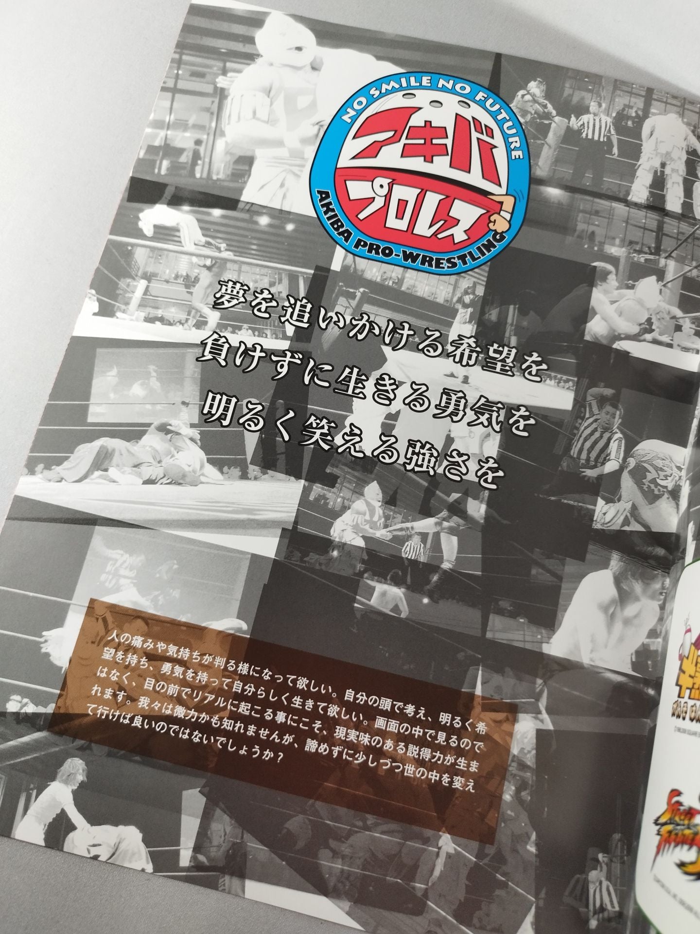 Akiba Pro Wrestling Game Remix Wangan Ariake Crisis!