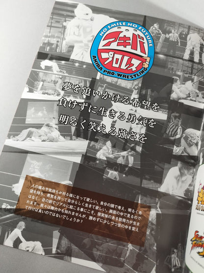 Akiba Pro Wrestling Game Remix Wangan Ariake Crisis!