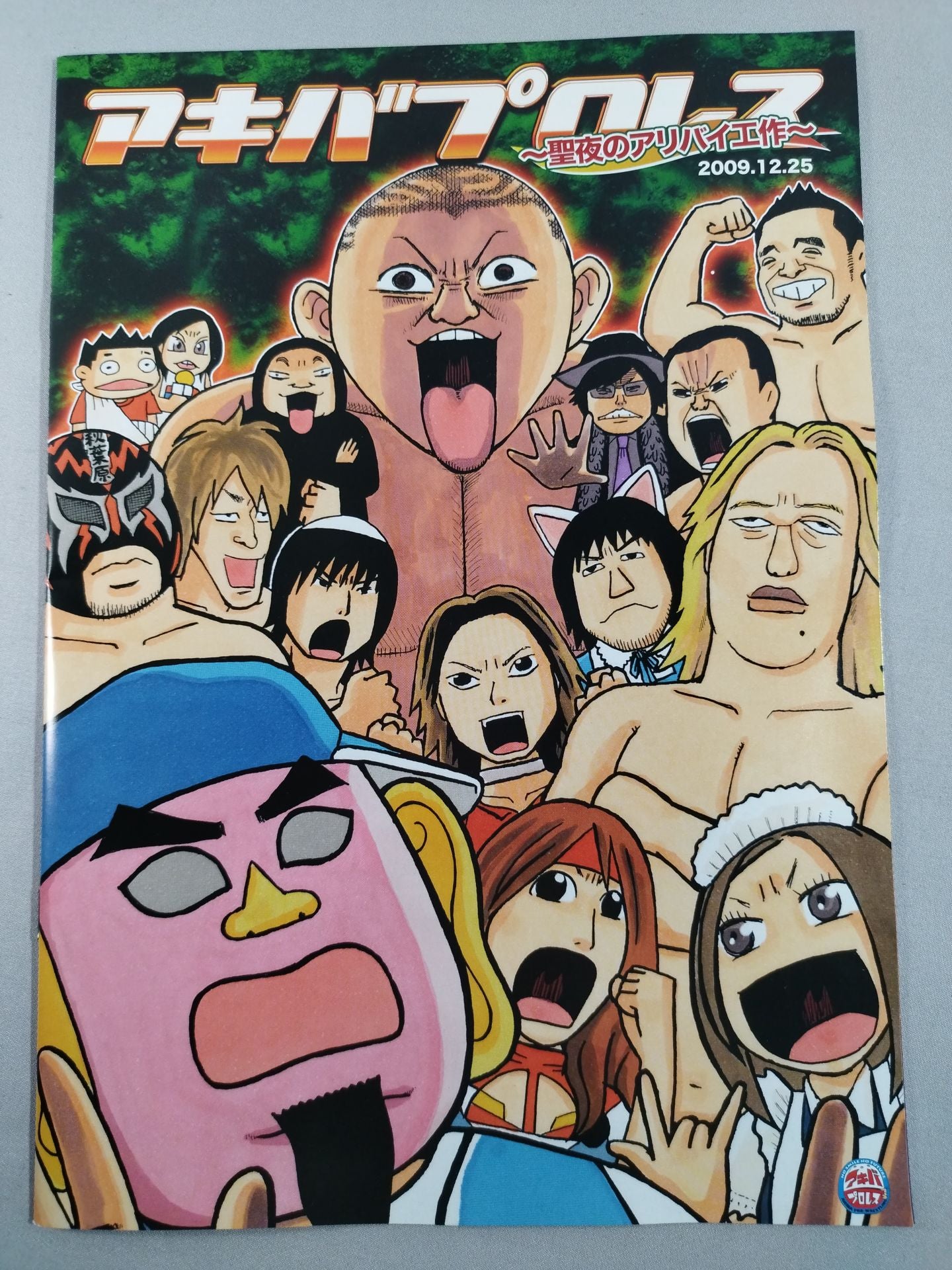 Akiba Pro Wrestling  ~Holy Night's Alibi~