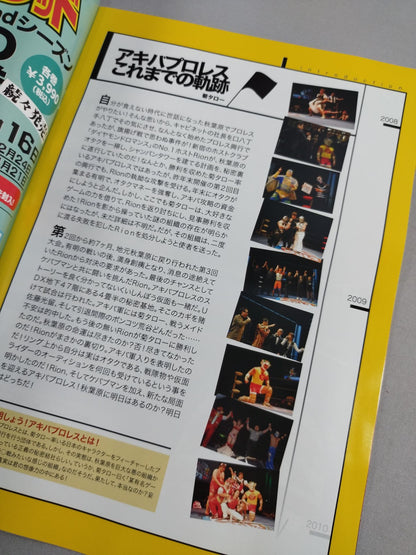 Akiba Pro Wrestling  ~Holy Night's Alibi~