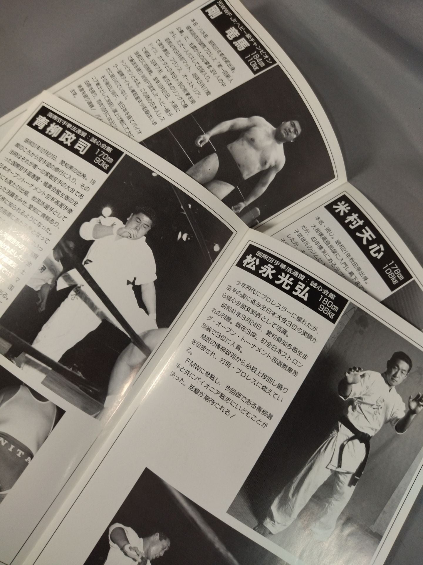 Pioneer Sensi  Mixed Martial Arts Fighting