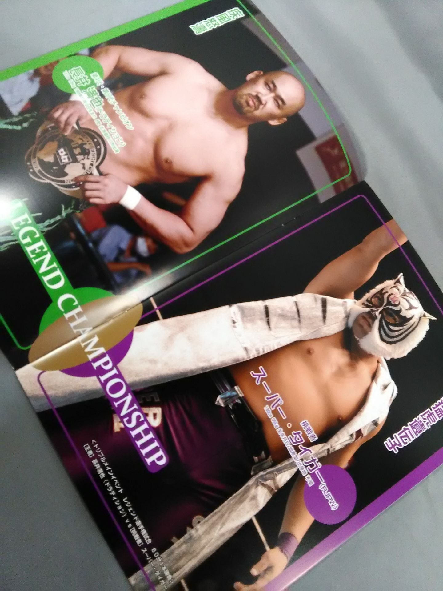 Real Japan Pro Wrestling Vol.19 / TRADITIONAL