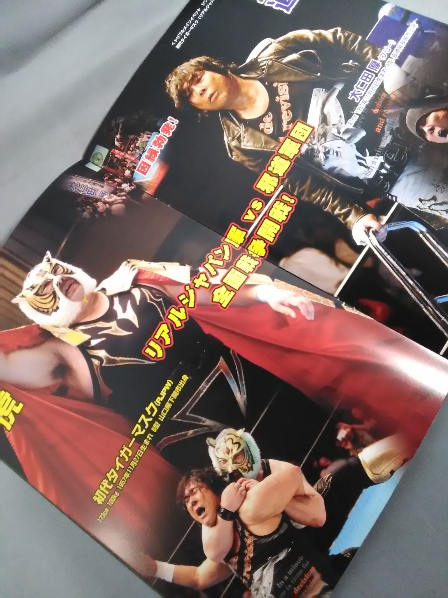 Real Japan Pro Wrestling Vol.19 / TRADITIONAL