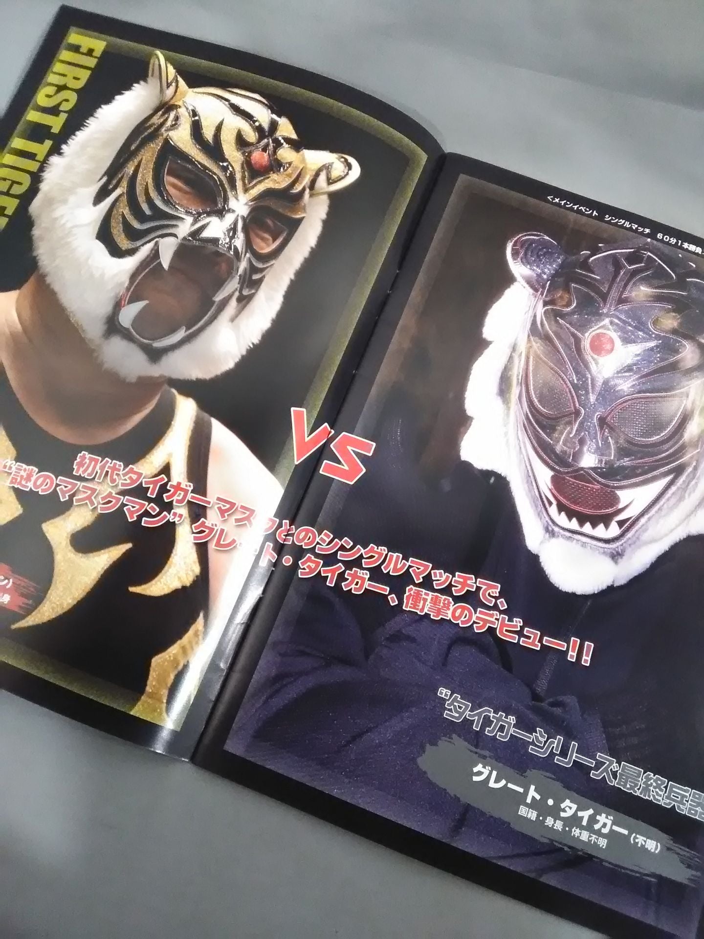 Real Japan Pro Wrestling Vol.23 / NATURAL