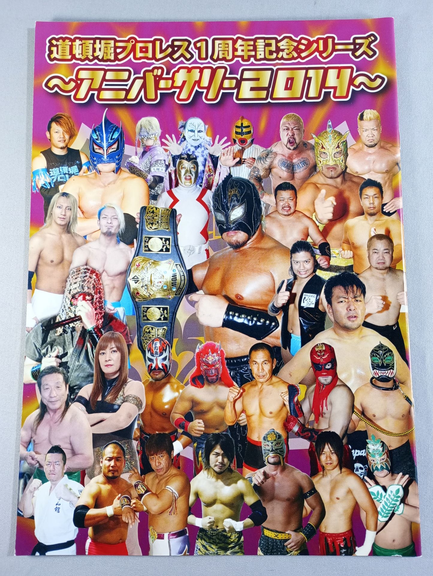 Dotonbori Pro Wrestling  / 1st Anniversary Series ~Anniversary 2014~