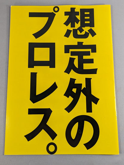 ★想定外のプロレス 旗揚げ戦★ dragondoor