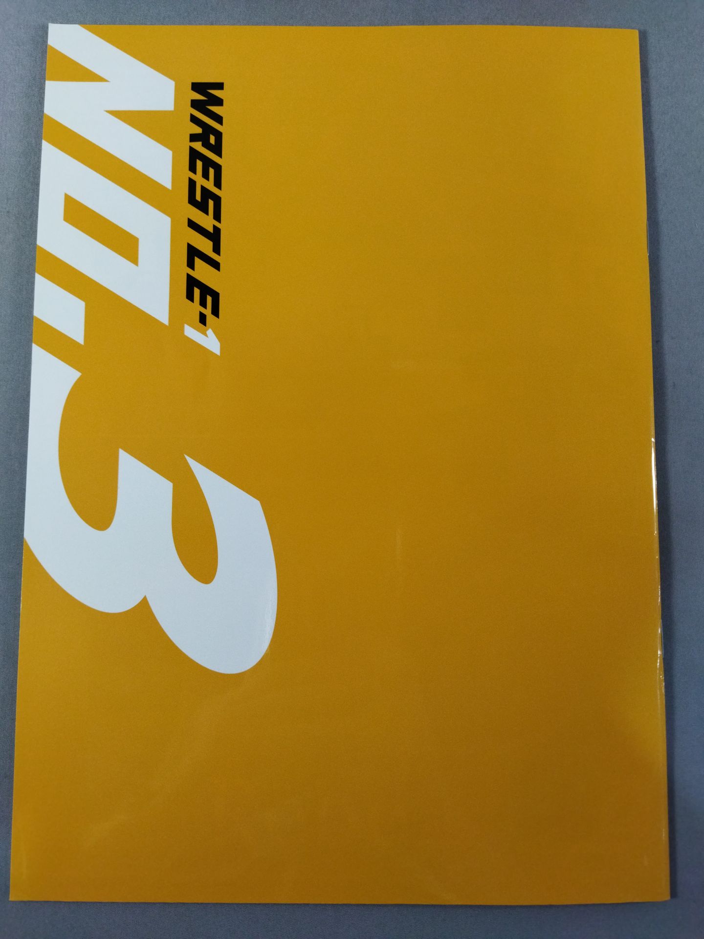 Andy Wu hand signed autograph  WRESTLE-1 No.3 / TOUR 2013