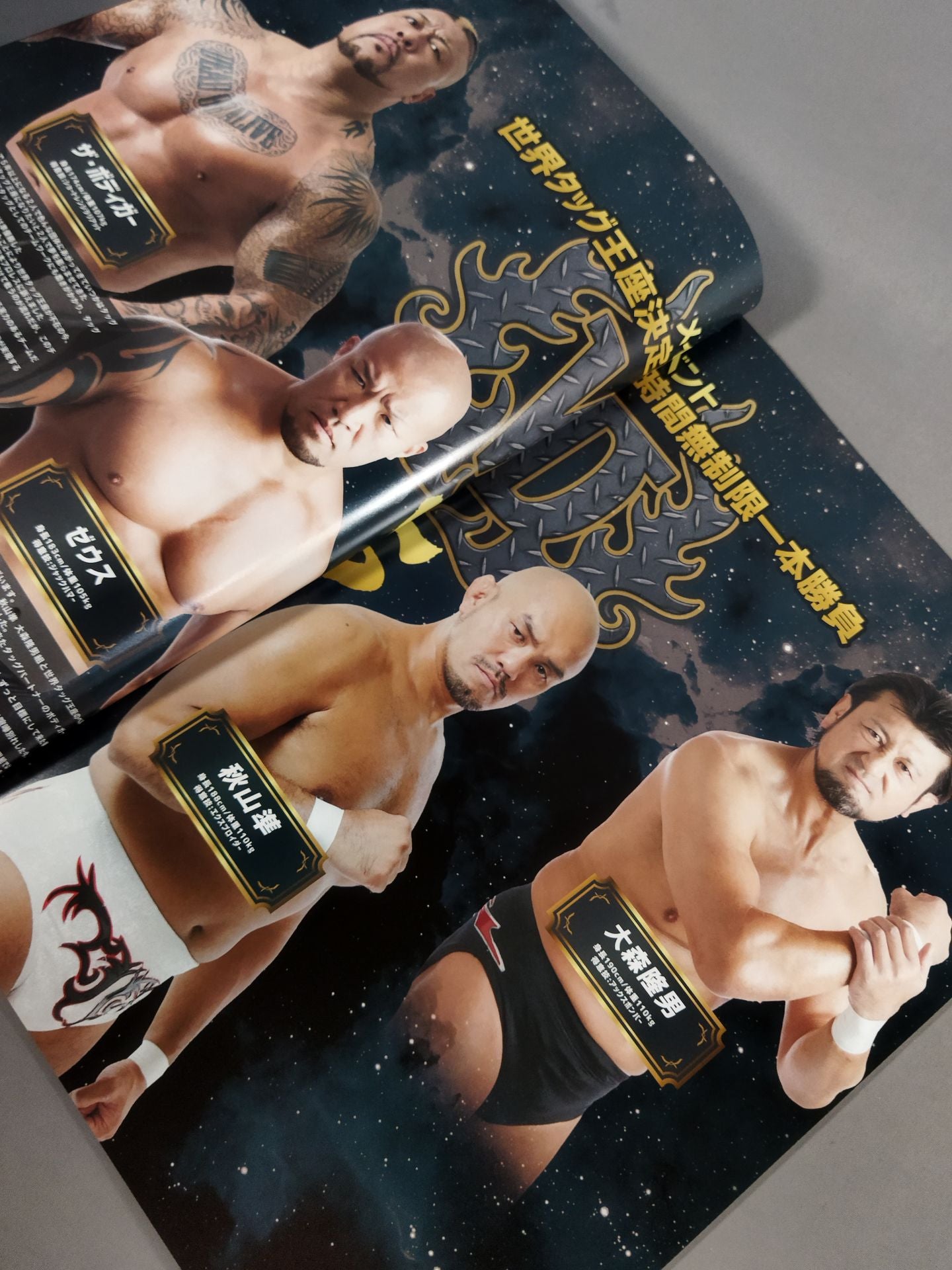 WRESTLE DREAM REALI./ Nepal Reconstruction Support Charity Entertainment