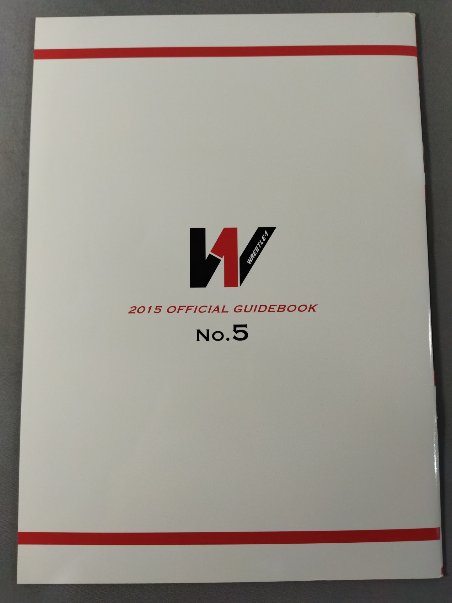WRESTLE-1 OFFICIAL GUIDE BOOK 2015 No.5