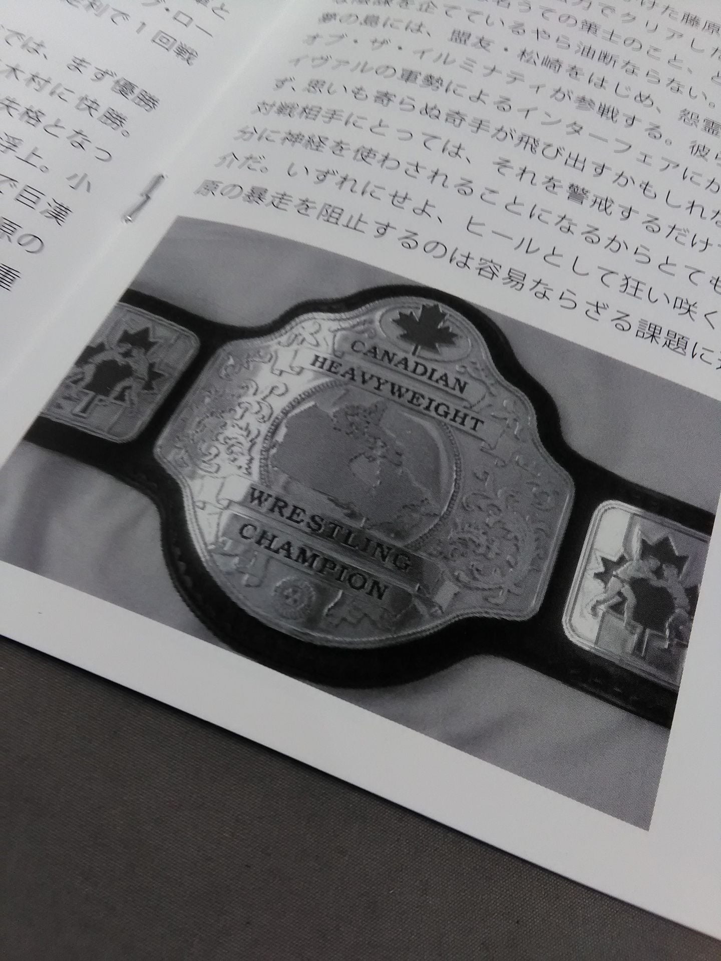 【半券付き】プロレスリング アライヴ CCWカナディアン選手権王座決定トーナメント決勝戦