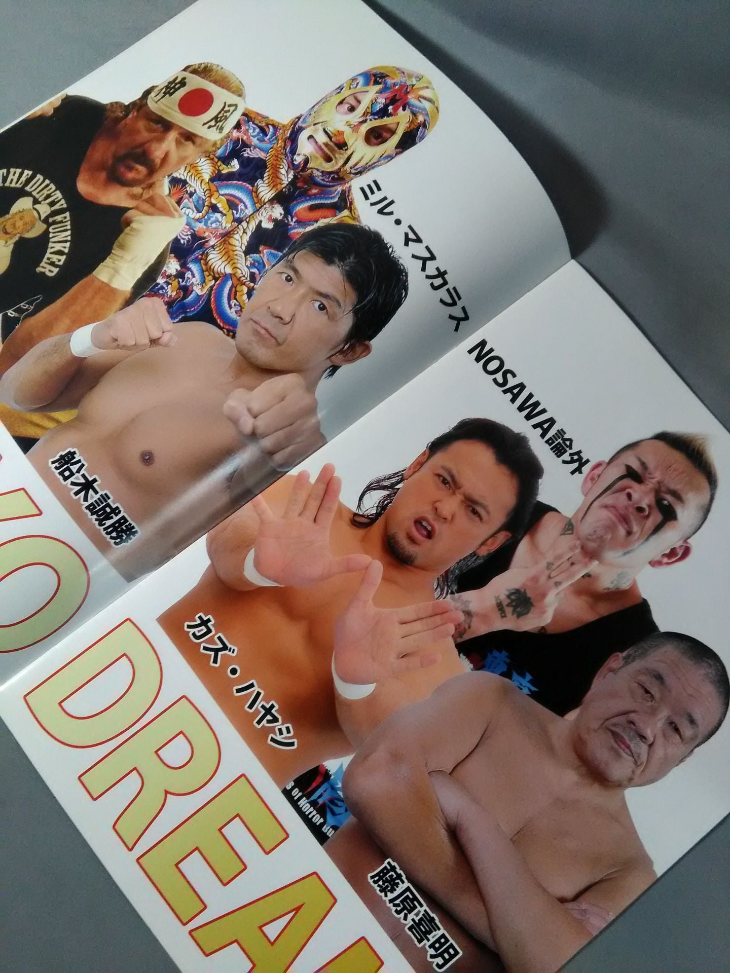 【4選手直筆サイン入り】TOKYO DREAM 2014 東京愚連隊 OFFICIAL GUIDE BOOK